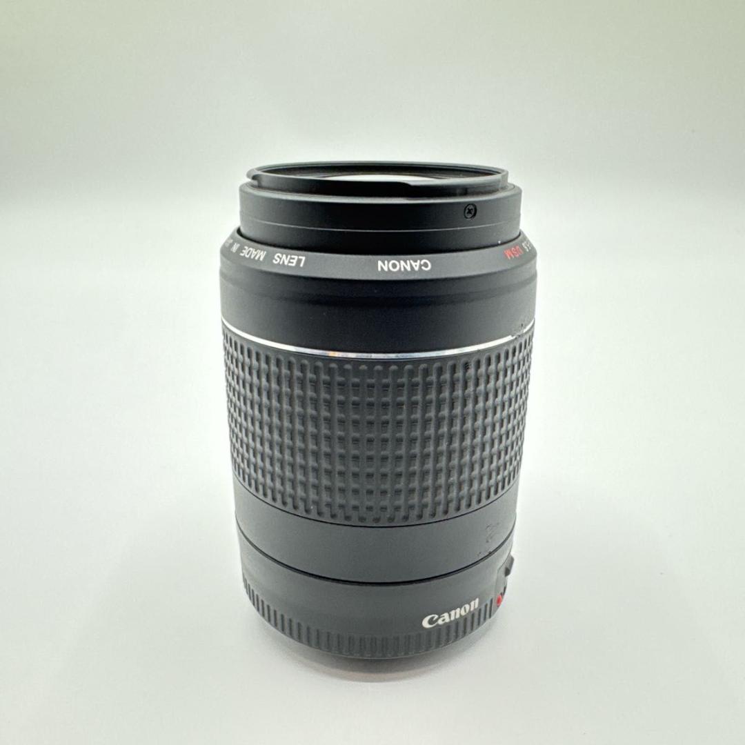 ef 55-200mm f4.5-5.6 usm Canon レンズ