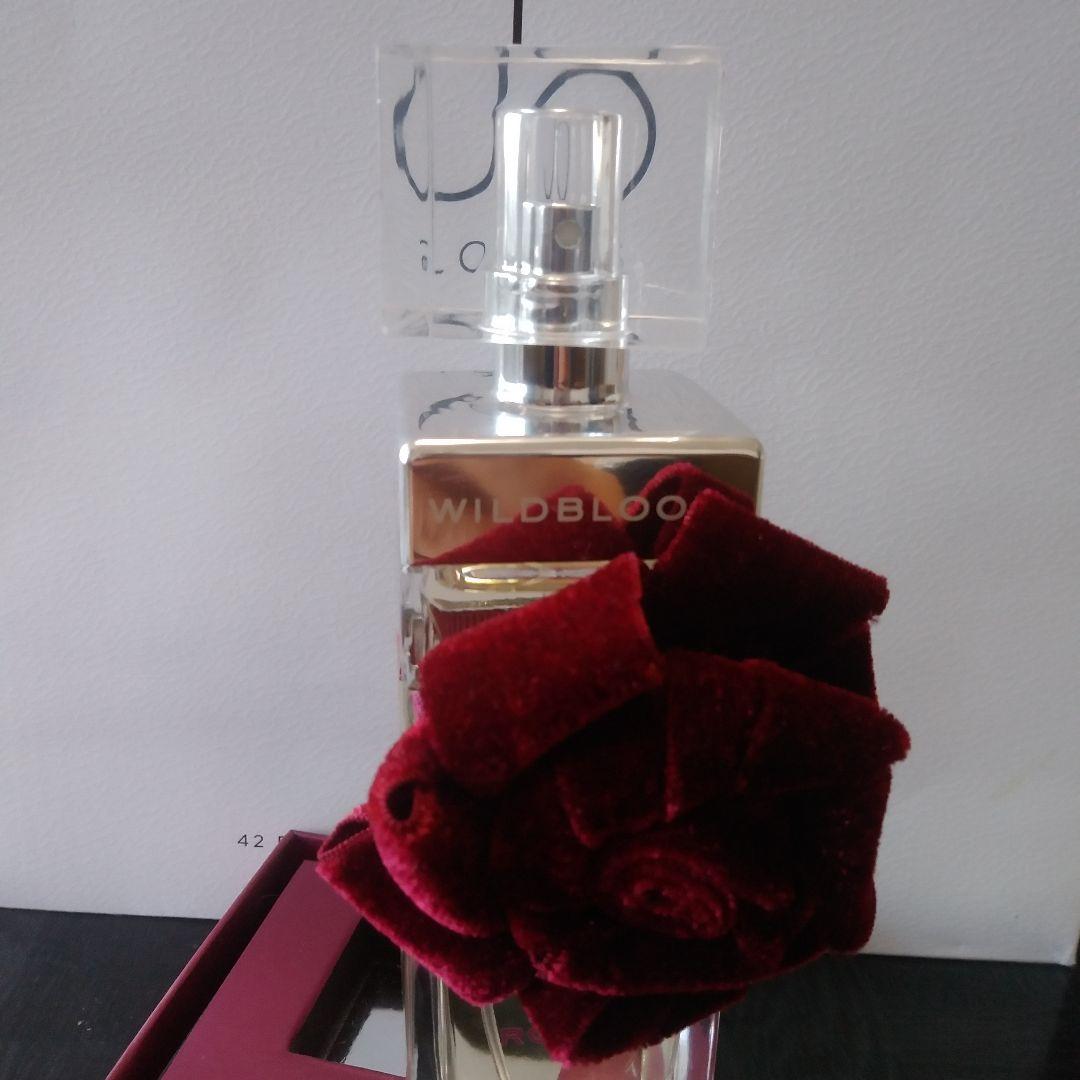 1回使用のみBANANAREPUBLIC WILDBLOOMROUGE100mL