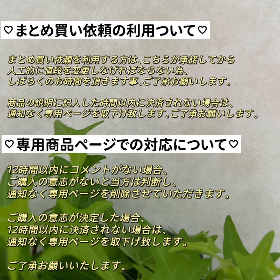 花びらケシパールネックレス　パールネックレス　一連　淡水パール　メタリックカラー