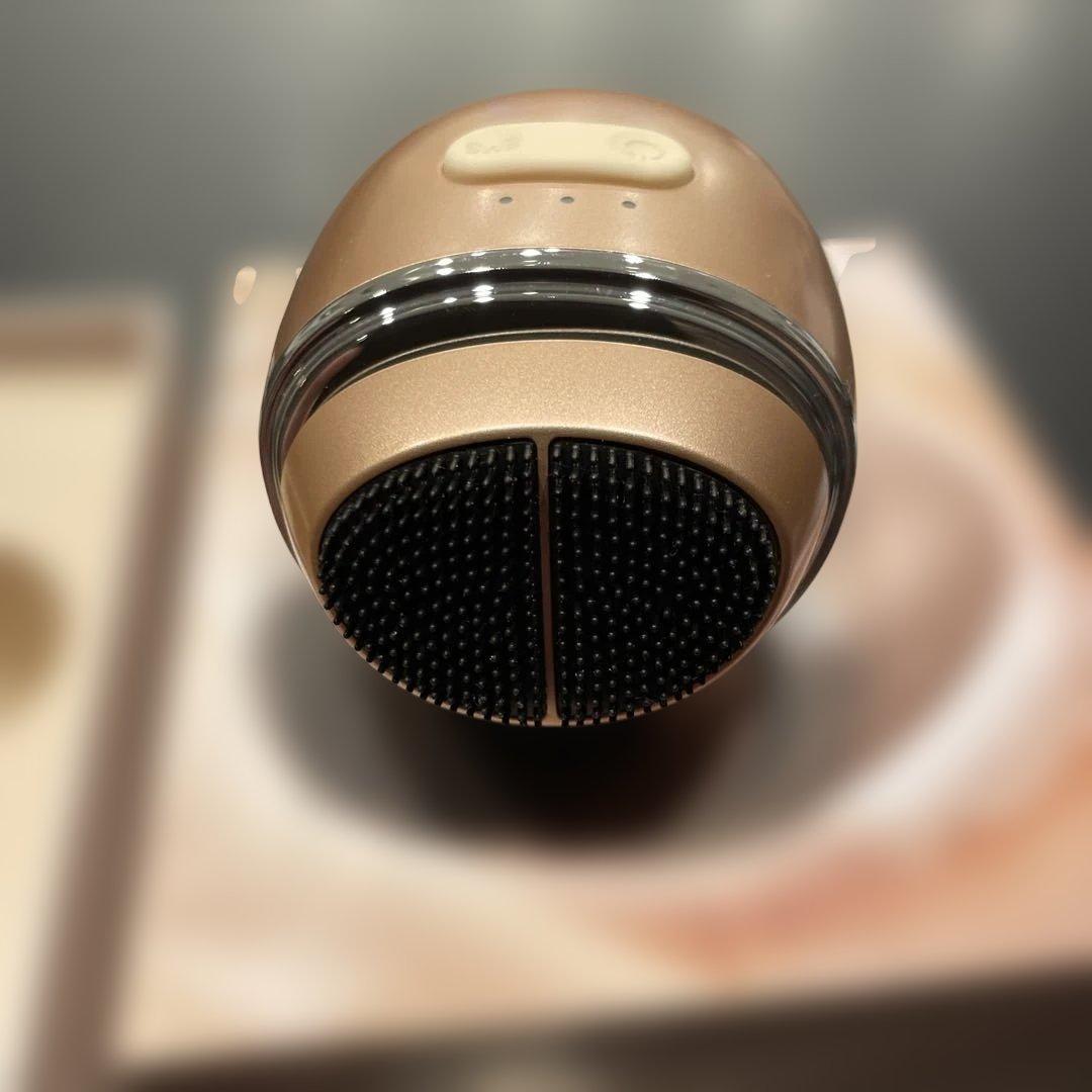 ZOGANKIN CL-ZK0 美顔器 ゴールド