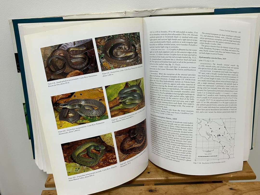 【送料無料】爬虫類 両生類 中米 コスタリカ 図鑑 洋書 専門書 価格交渉可能