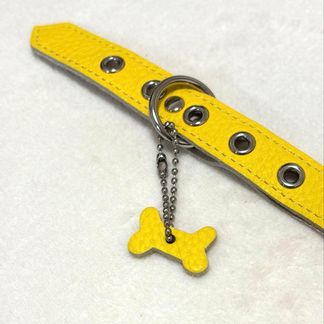 BUDDYBELT バディベルト BBベルト カナリア ハーネス 3