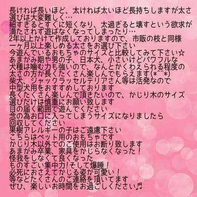 ◉12.犬のおもちゃ、犬用、歯固め梨の木、あまがみ期、小さめ大型犬お試し向き