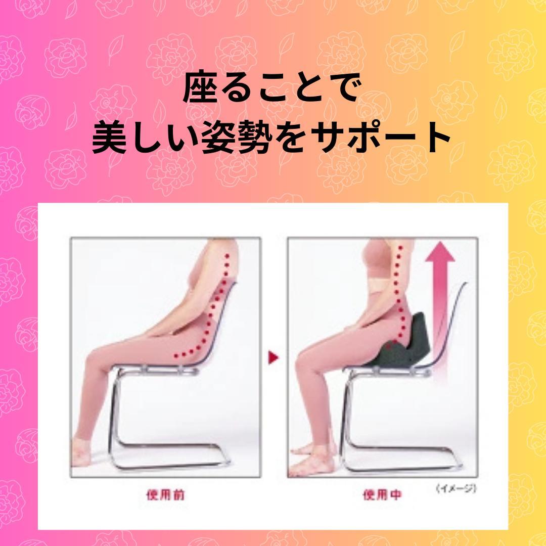 新品。整体師が本気で考えた。腰ラク骨盤シート　レッド