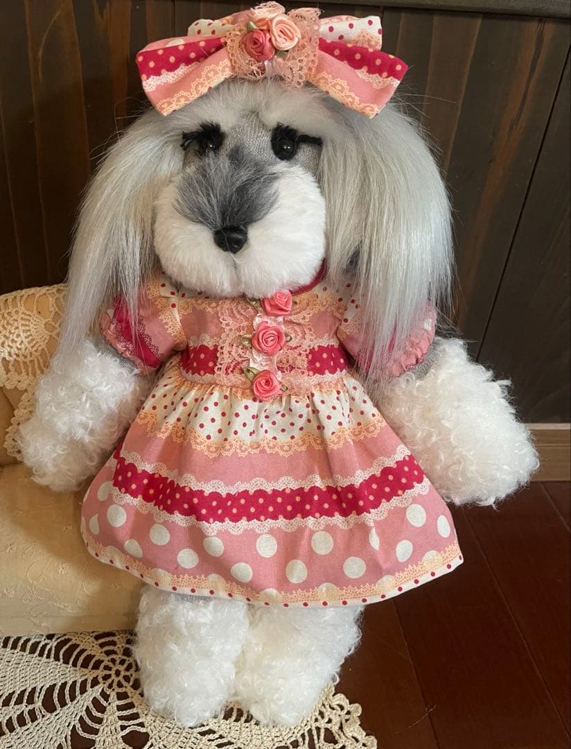 シュナウザー❤️くつしたわんこ