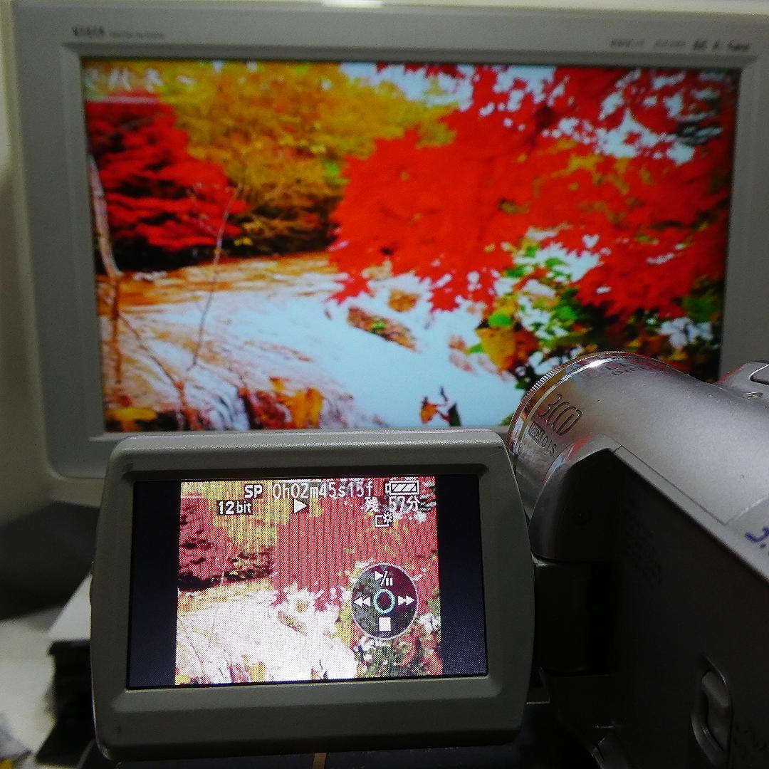 パナソニックNV-GS300【動作良好』MiniDVビデオカメラダビングに最適