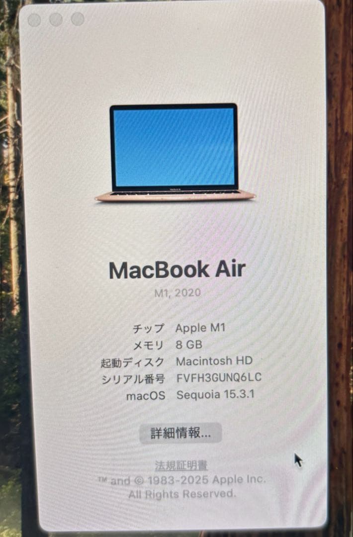 MacBook Air M1 13インチ 8GB/256GB ピンクゴールド