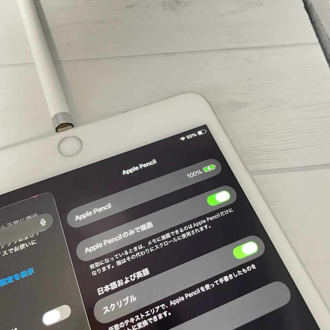 動作確認済【美品】Apple Pencil 第一世代 付属品＋カバーセット