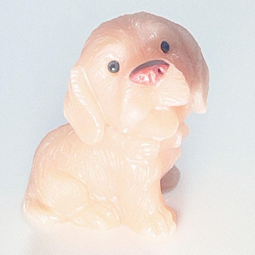 ピンクオパール犬NO25-2141