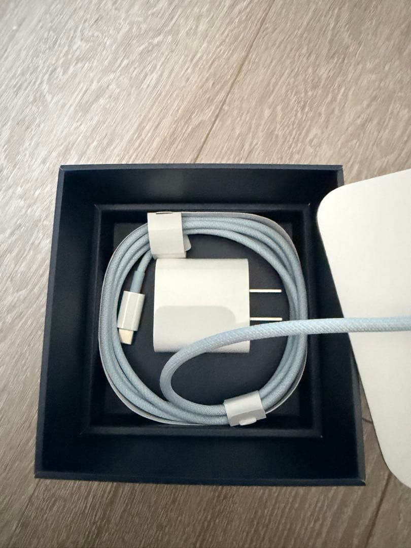 Apple Pod mini ダークブルー