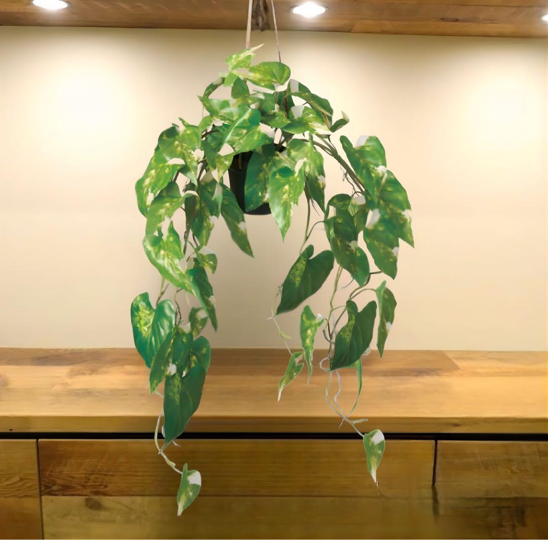 光触媒　人工観葉植物　ウォールグリーン　フェイクグリーン　フィロデンドロン