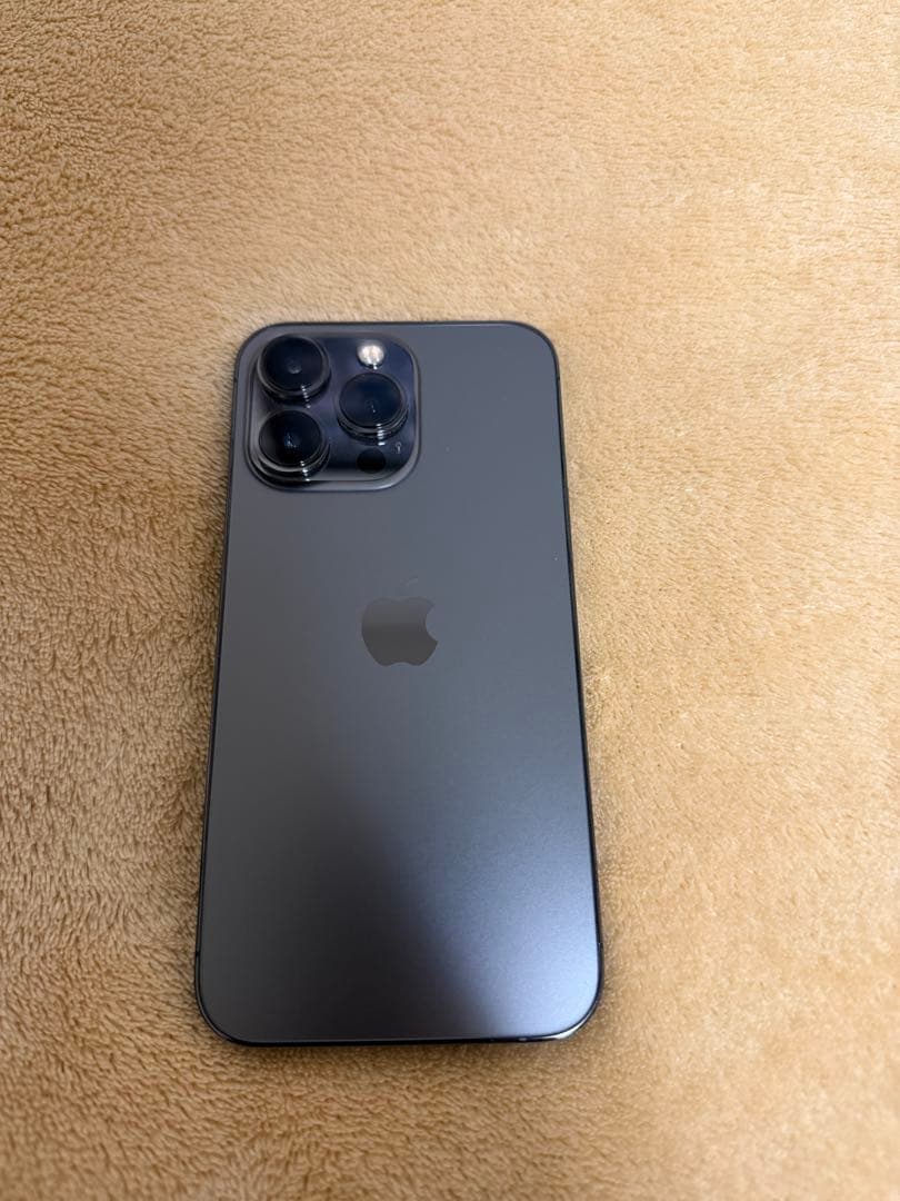 【naka様用】Apple iPhone 13 Pro グラファイト　256GB