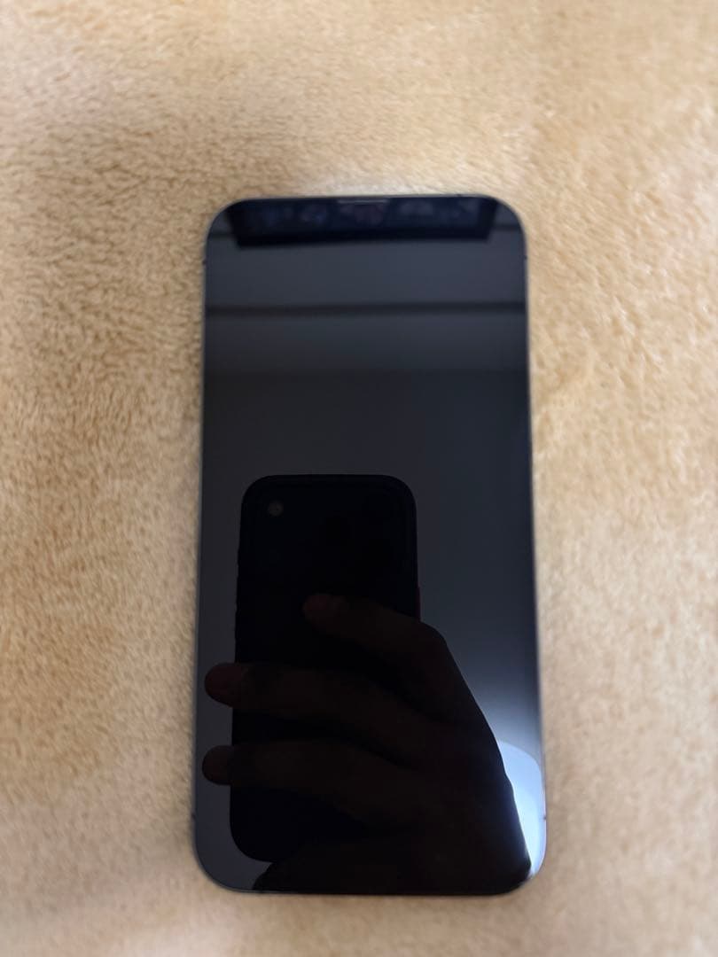 【naka様用】Apple iPhone 13 Pro グラファイト　256GB