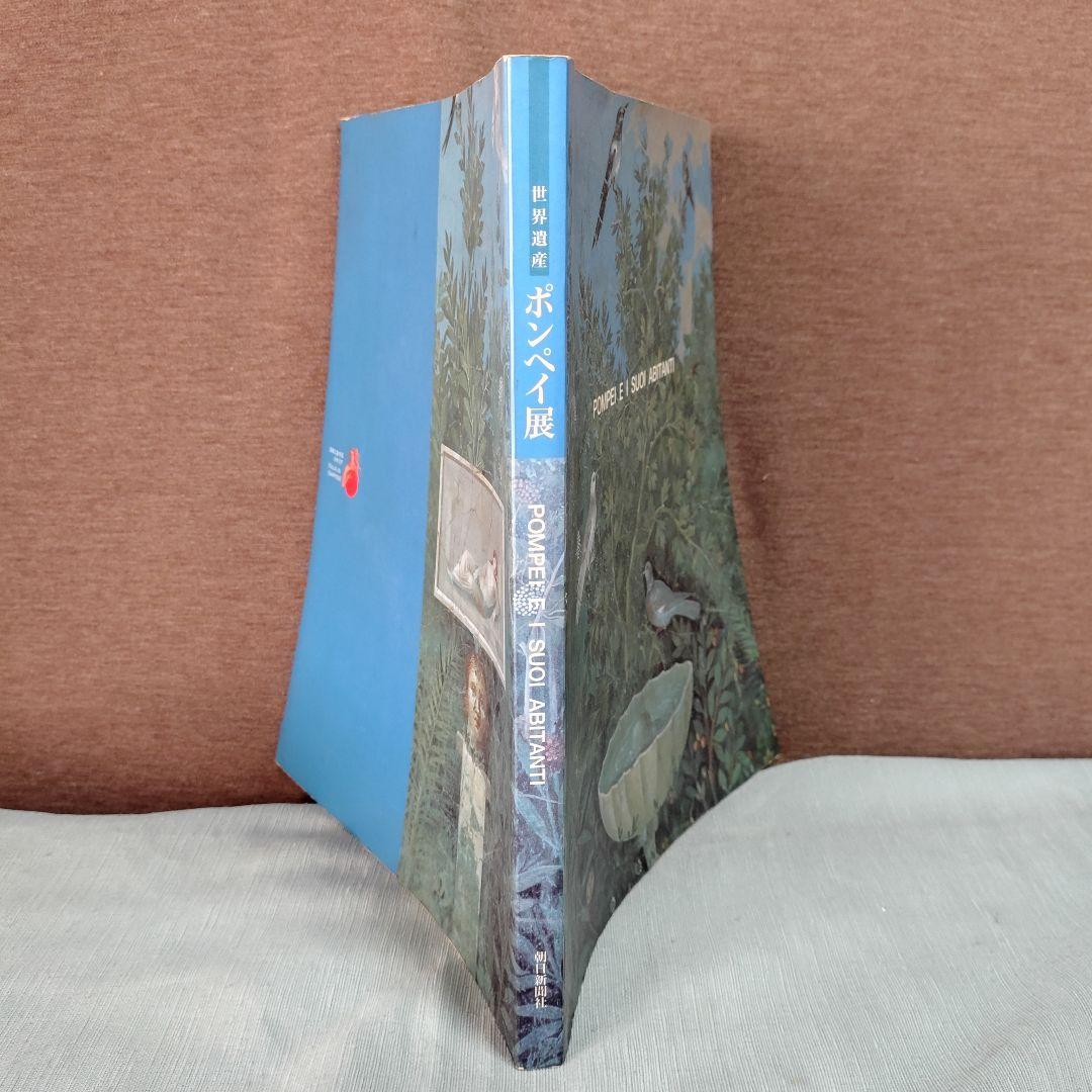 地中海産絶滅危惧種大型巻貝古い貝殻/インテリア置物・鑑賞品 (おまけ付:参考本)