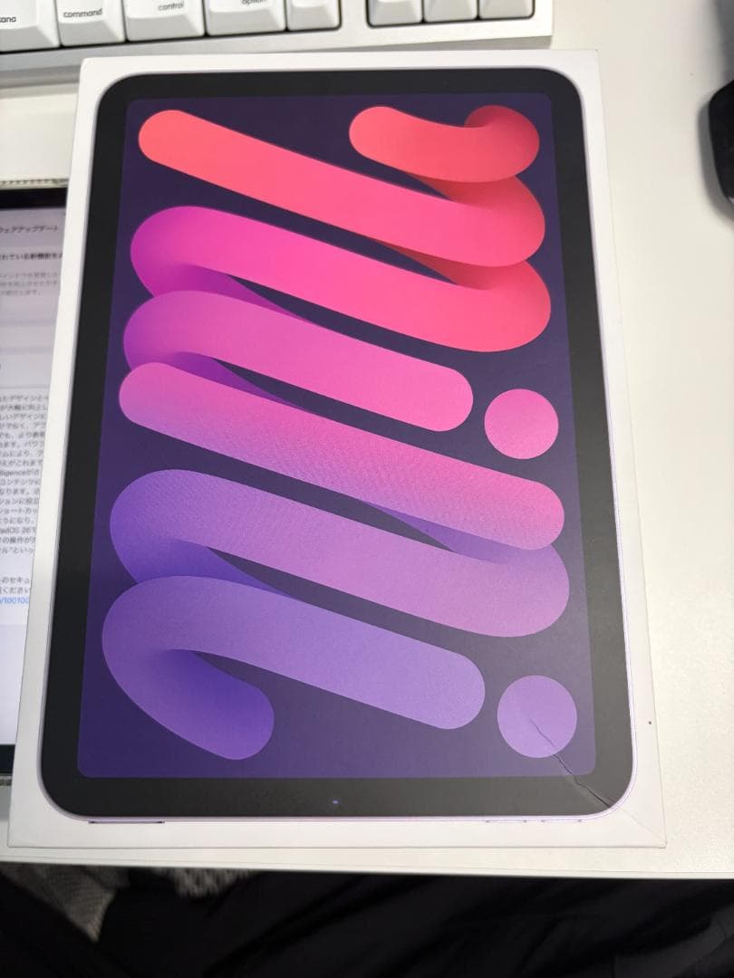 ipad mini 6 64GB スペースグレー セルラーモデル