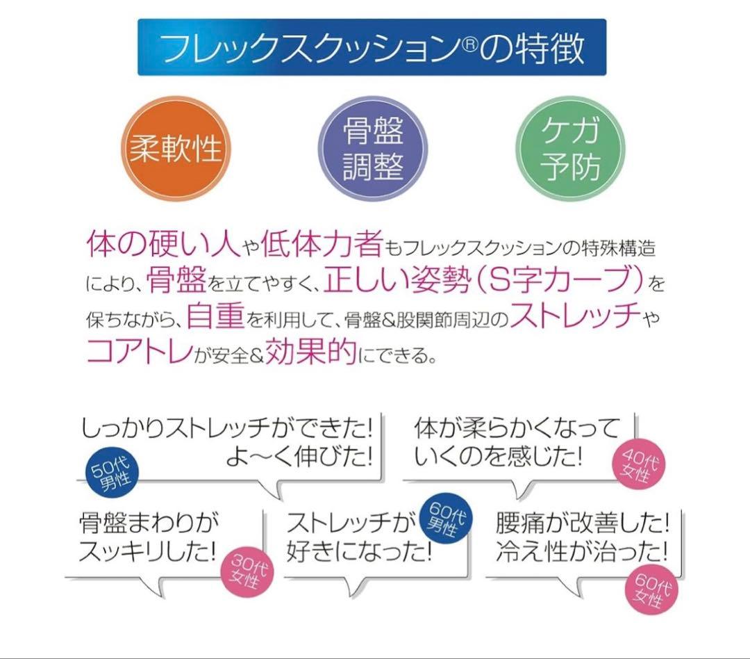 サンテプラス　フレックスクッション　ヨガ　ストレッチ