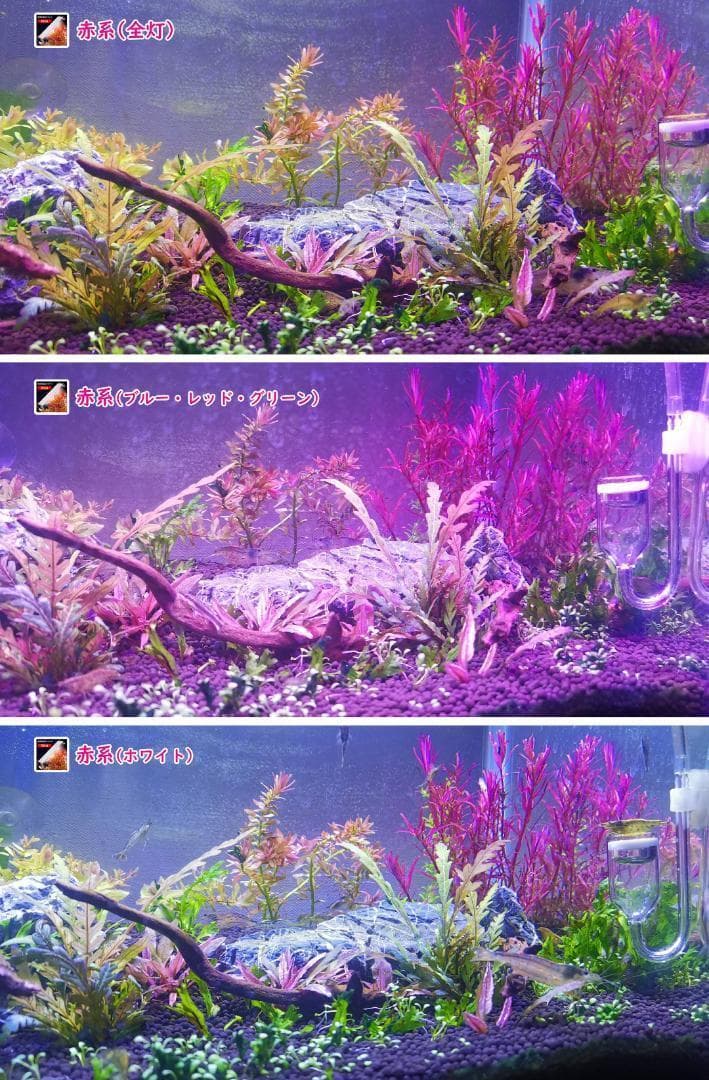 2本★水草育成ライト 高輝度 LED水槽ライト 60cm水槽対応A2272