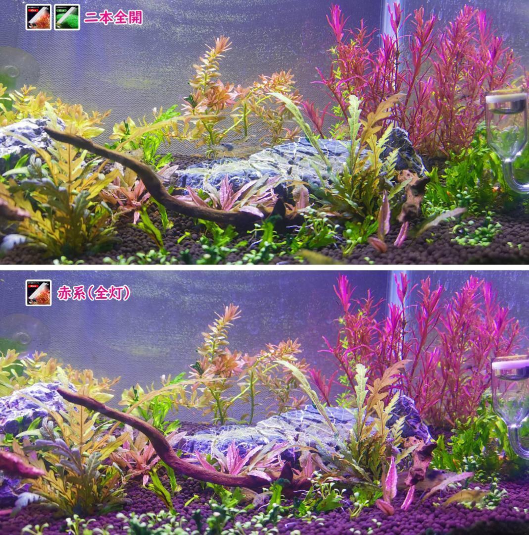 2本★水草育成ライト 高輝度 LED水槽ライト 60cm水槽対応A2272