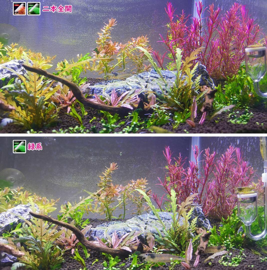 2本★水草育成ライト 高輝度 LED水槽ライト 60cm水槽対応A2272