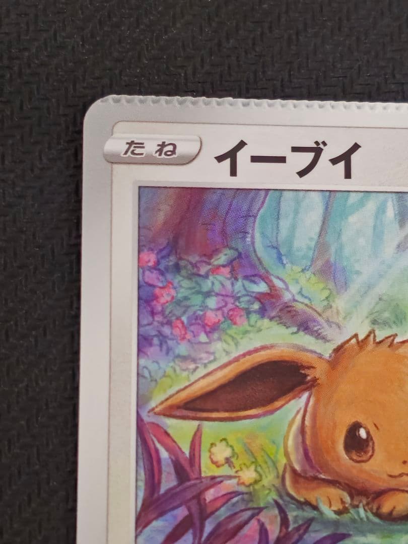【貴重】ポケモンカード イーブイ きょうめいのしんか 　エラーカード　世界に一枚