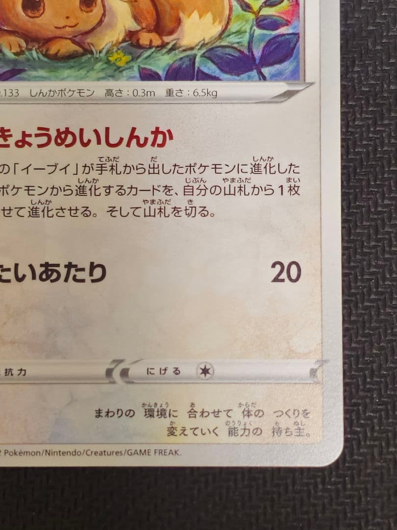 【貴重】ポケモンカード イーブイ きょうめいのしんか 　エラーカード　世界に一枚