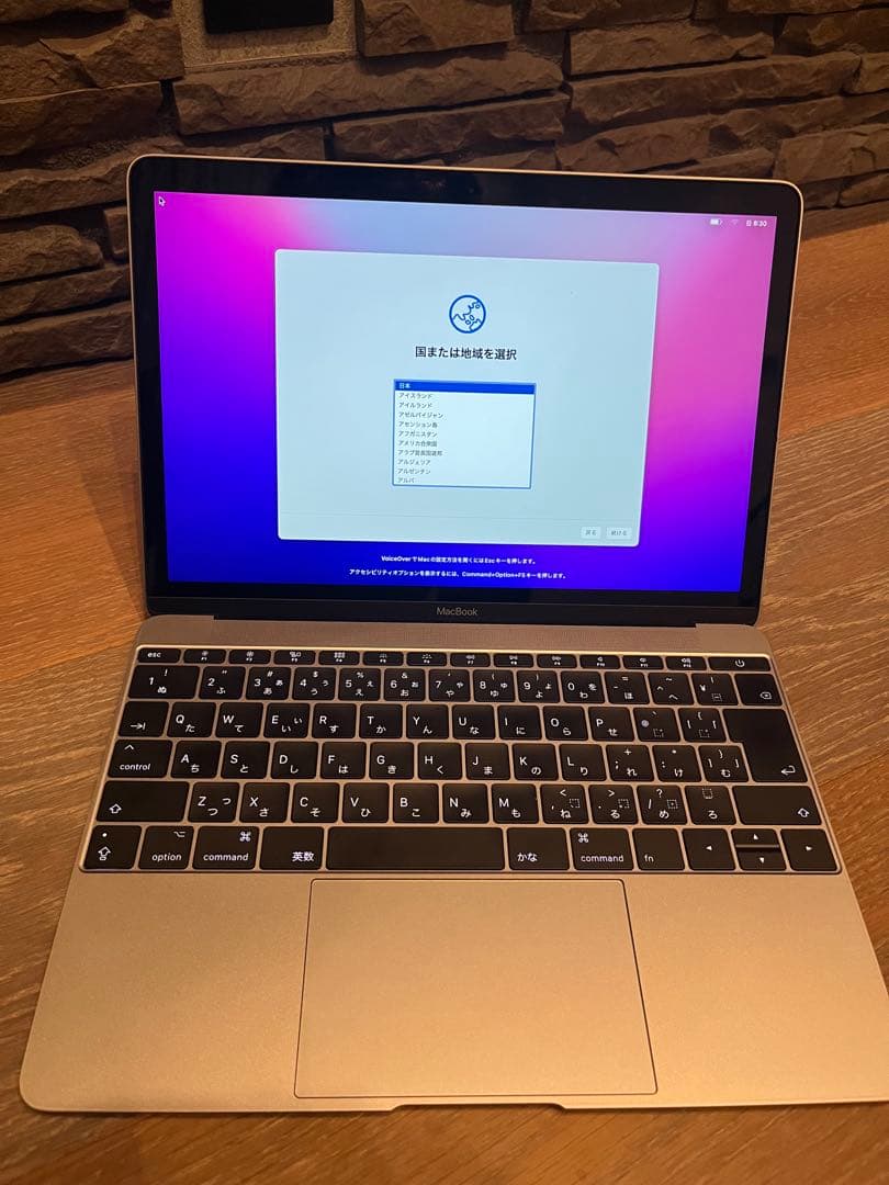 【状態良好】MacBook (Retina, 12-inch, 2017)