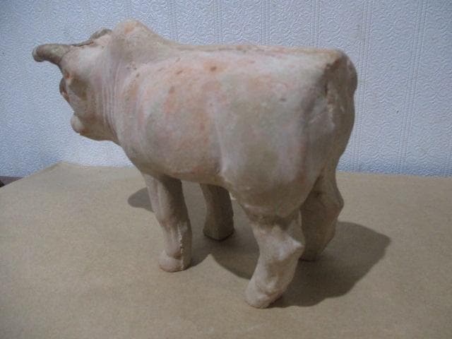 古代インダス文明　コブ牛　S30-3