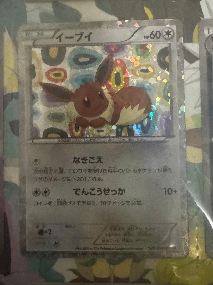 イーブイコレクションファイル