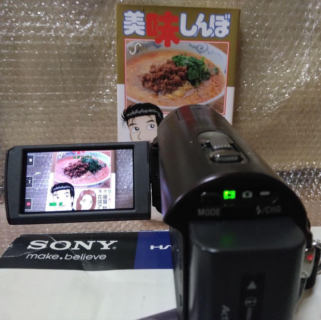 【美品】お散歩フルHDビデオカメラ