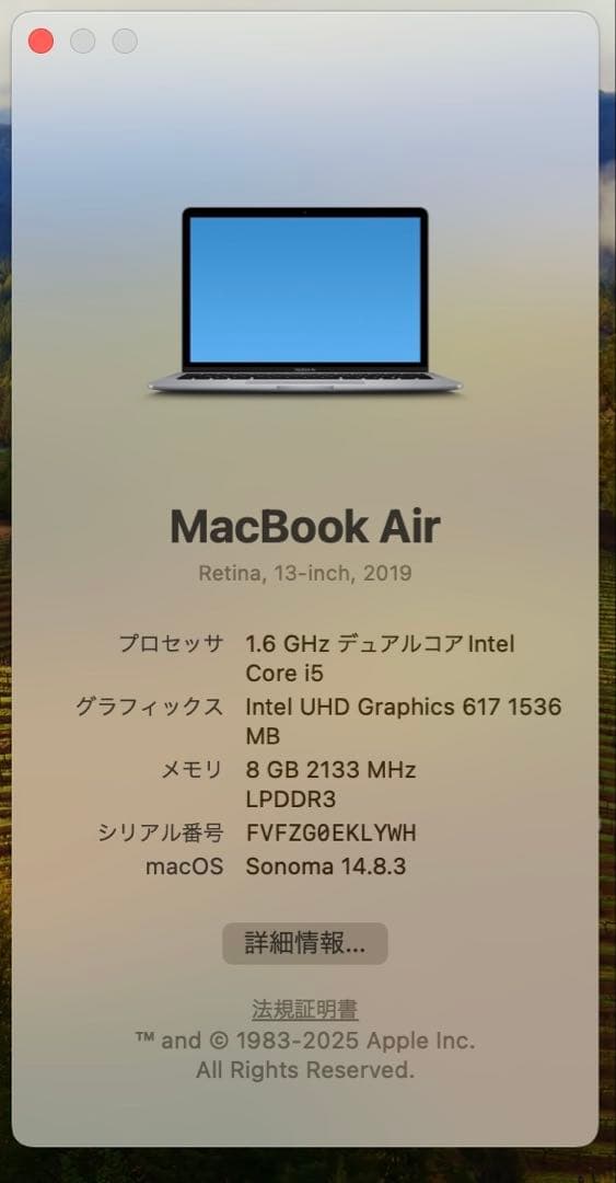 MacBook Air 2019 13インチ 本体　充放電回数59回のみの美品
