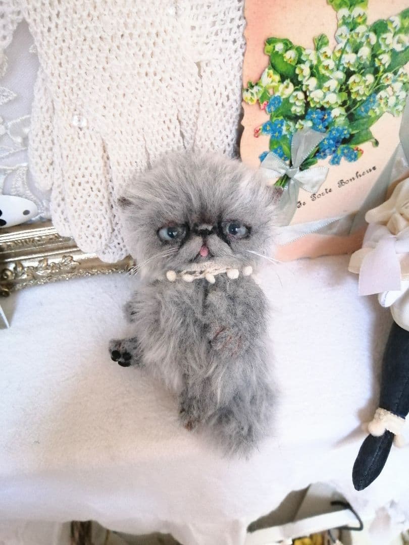(ΦωΦ)おチビちゃん(ΦωΦ)夢夢ちゃんッ♥にゃんこ♥猫❤️エキゾチック