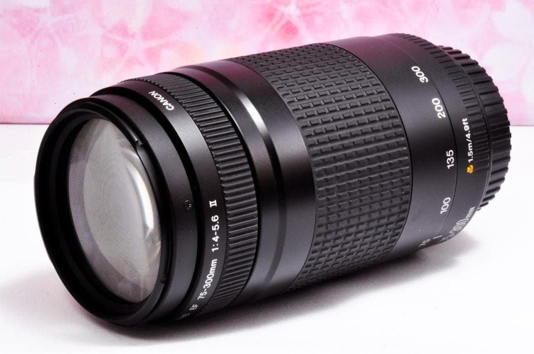 ❤️新品級❤️300mm超望遠レンズ❤️ CANON EF 75-300mm