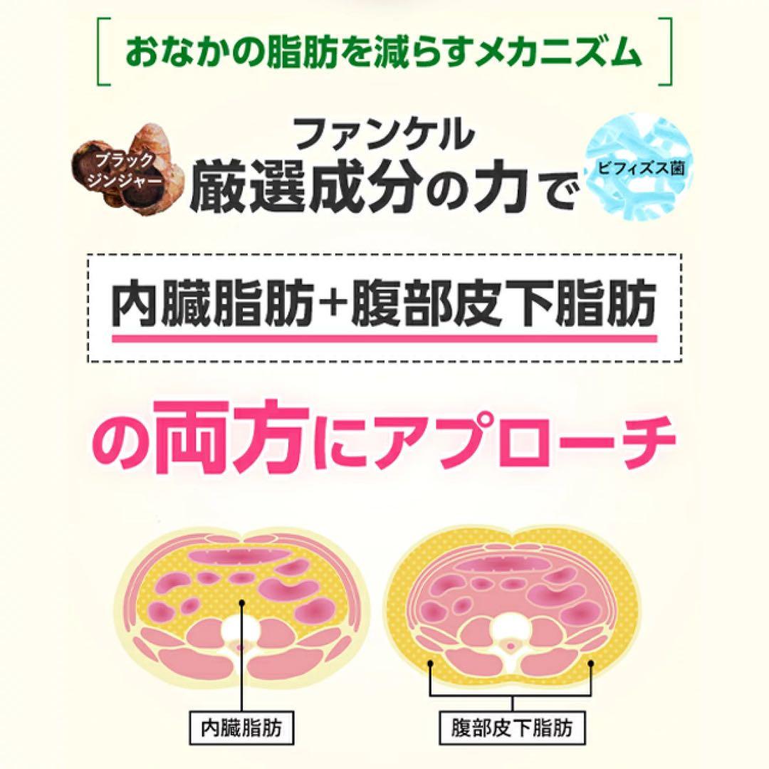 ファンケル 内脂サポート 30日分8袋〈240日分＋10%増量〉
