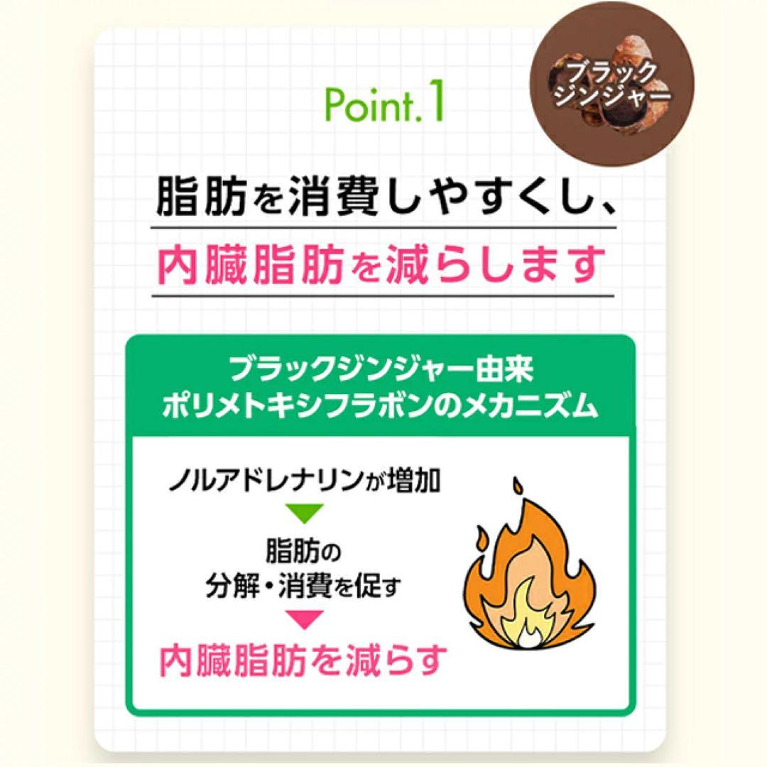 ファンケル 内脂サポート 30日分8袋〈240日分＋10%増量〉