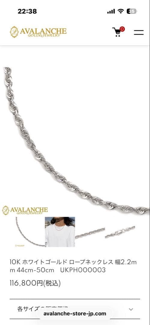 AVALANCHE 10kホワイトゴールドネックレス・ペンダントトップ