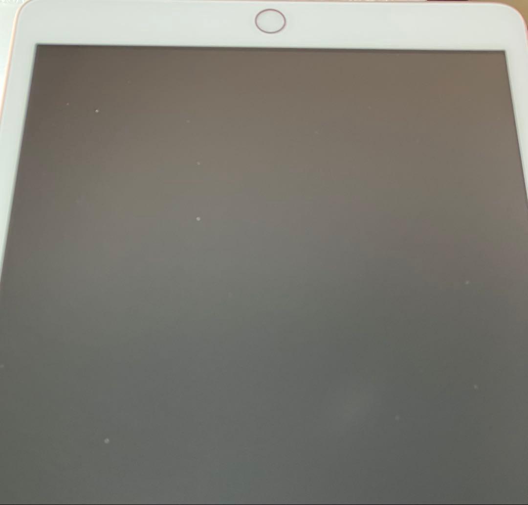 【即購入OK】iPad 第8世代 セルラーモデル【極美品】 #116 【付属品】