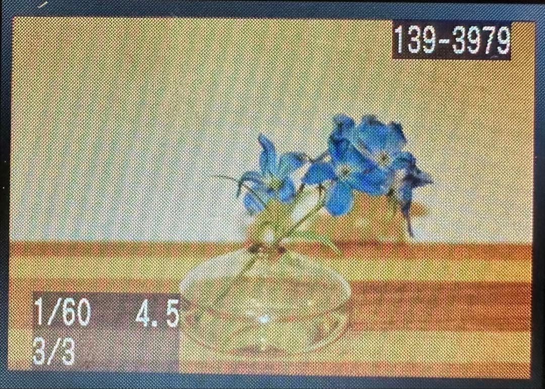 【Canon】EOSKissDigital DG28-300 f3.5-6.3