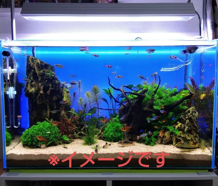 アクロ トライアングル LED VIVID 600　スタンド セット