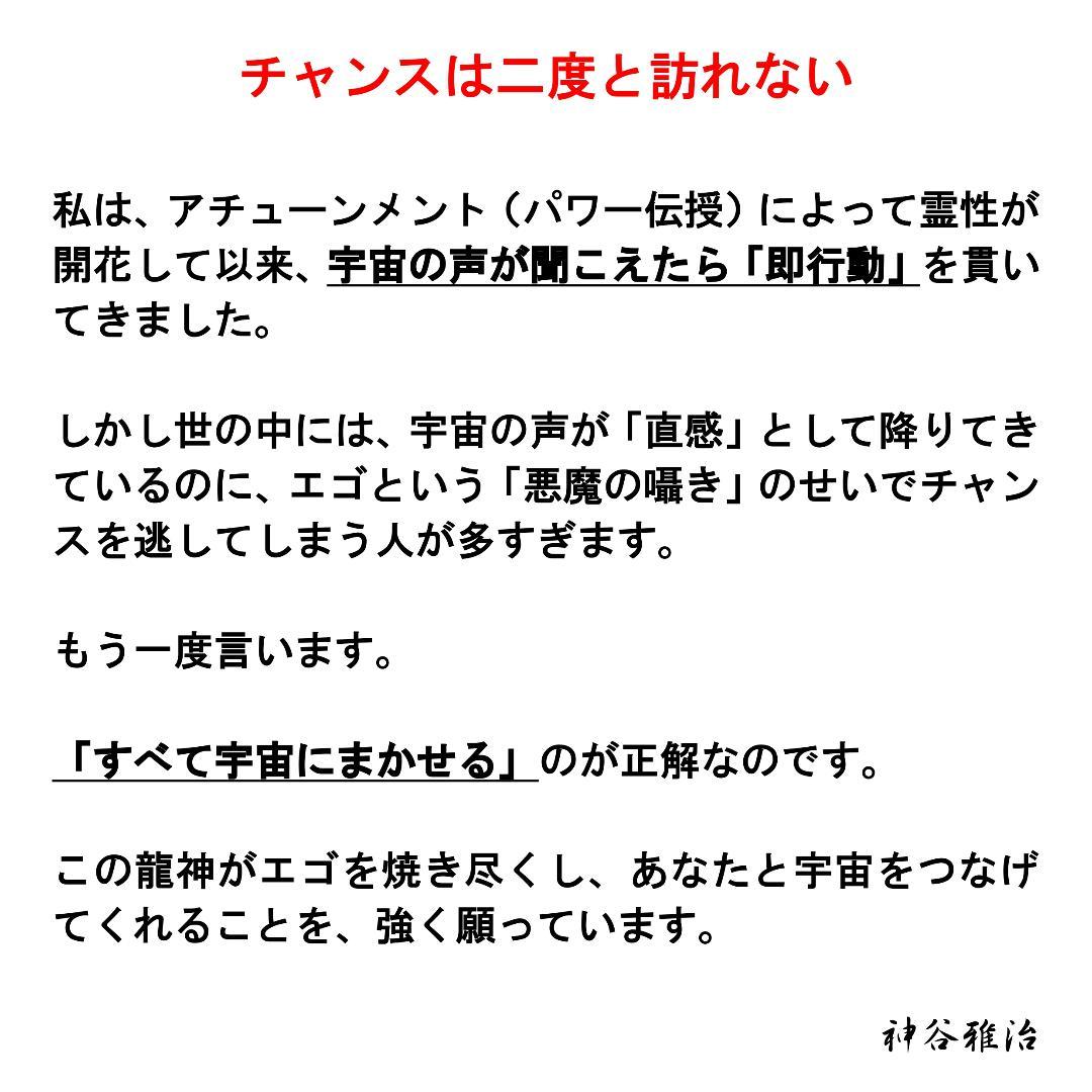 【至高の特大龍神護符】エゴの呪縛を解き、富の循環を招きたいあなたへ※90開運絵画