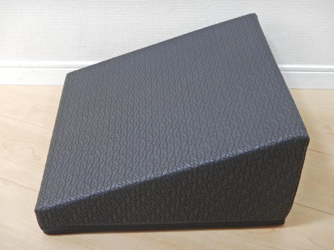 【美品】SANTEPLUS サンテプラス フレックスクッション ブラック