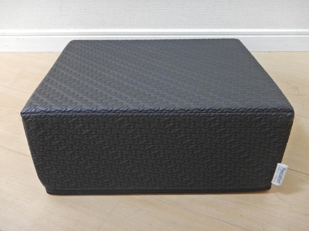 【美品】SANTEPLUS サンテプラス フレックスクッション ブラック