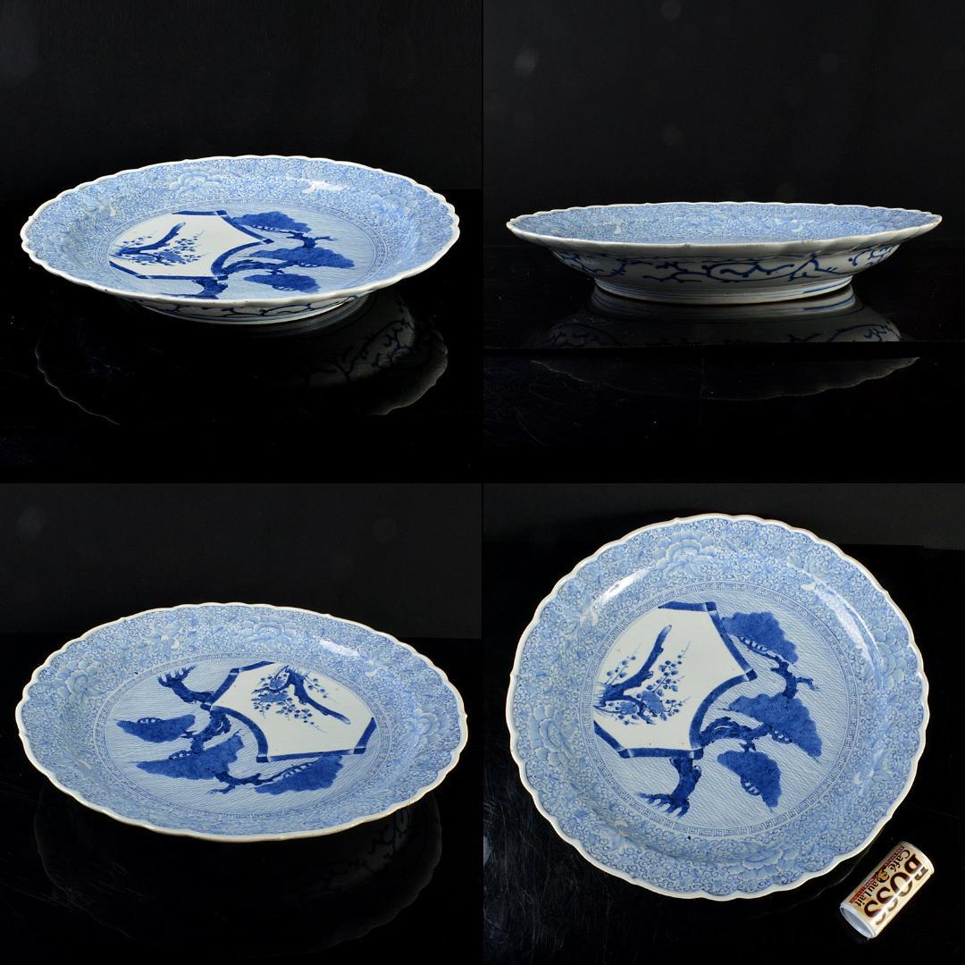 伊万里焼　古伊万里　染付　松文　大皿　飾皿　直径約49㎝　C　5651C