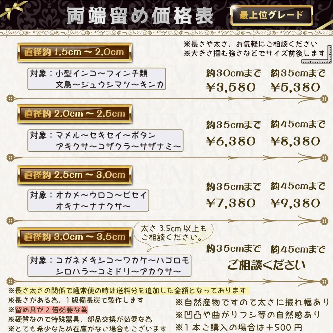 マミー