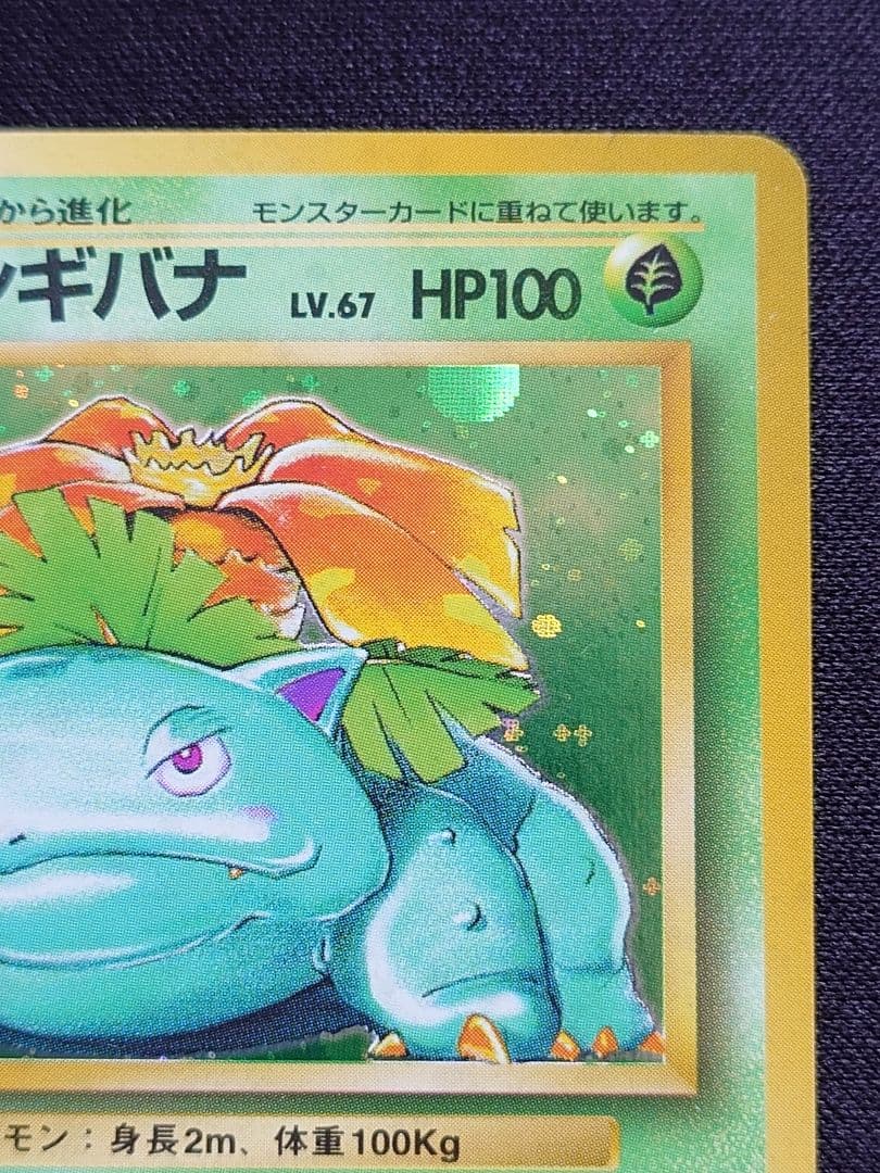 フシギバナ　エナジートランス　旧裏　拡張パック第一弾
