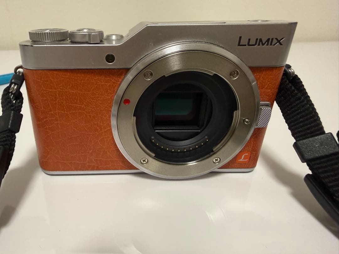 Panasonic LUMIX DC-GF9W ダブルレンズキット