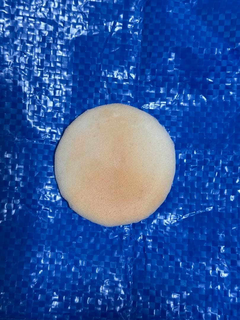 ミラノコレクション フェースアップパウダー 2025 おしろい 本体