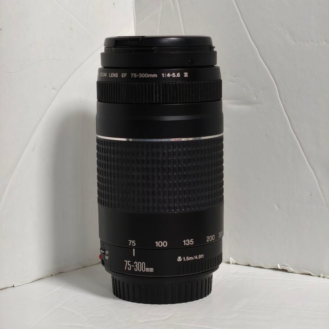 【望遠レンズ】Canon EF 75-300mm F4-5.6 III
