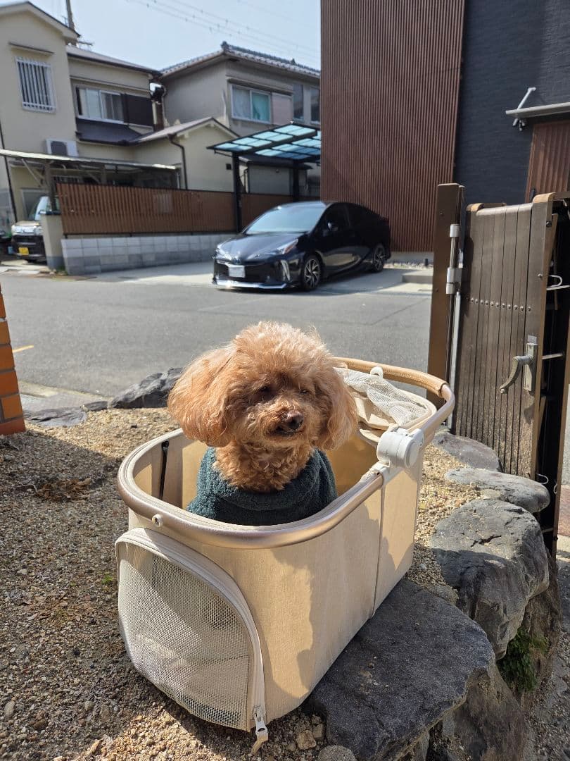 ベージュ 折りたたみ式犬用カート 4輪式