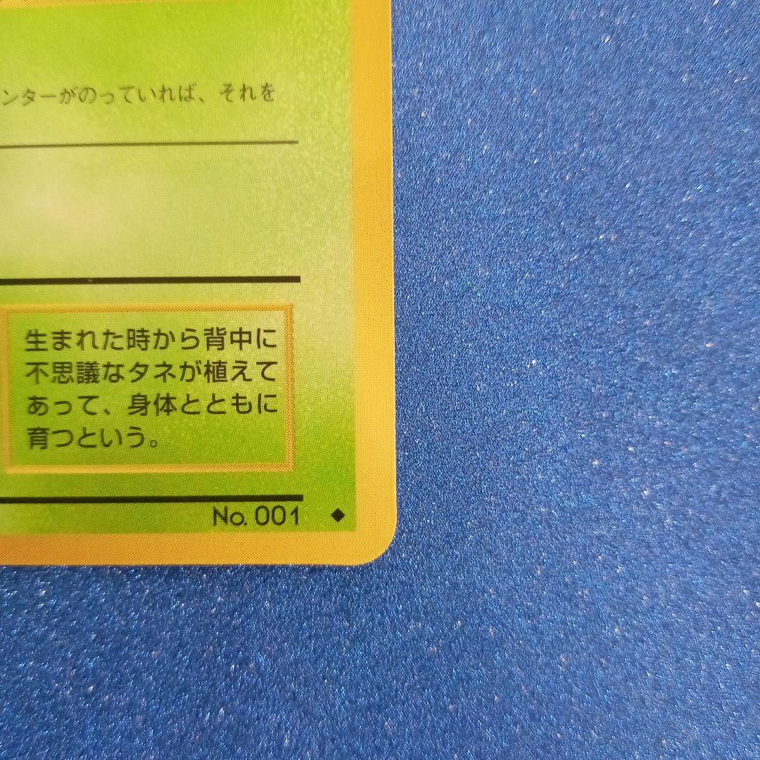 フシギダネ　旧裏　ポケモンカード　pokemon