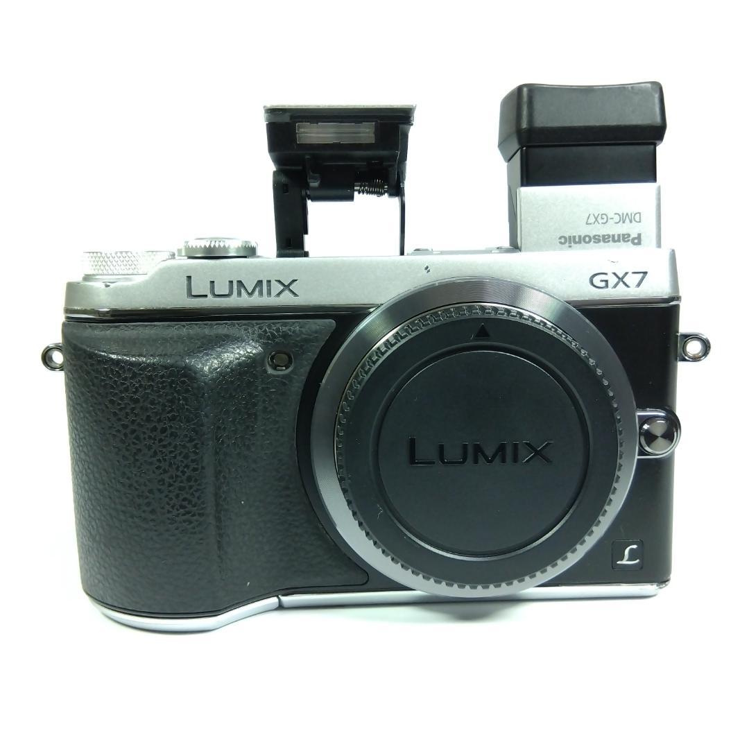 パナソニック DMC-GX7 ミラーレス一眼 ボディ バッテリー 充電器